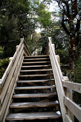 escalier menant a la falls